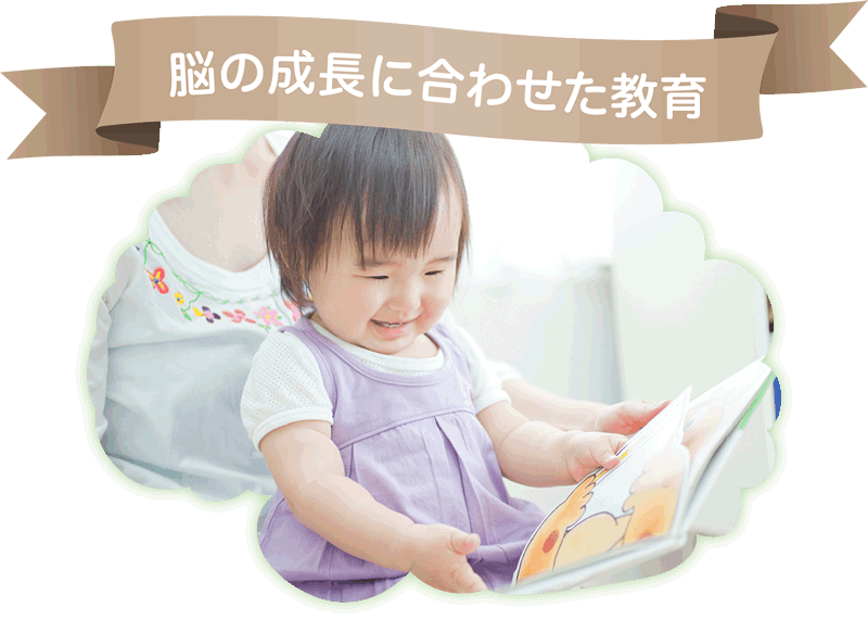 脳の成長に合わせた教育